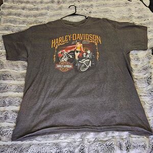 Harley-davidson Men's Grey T-shirt